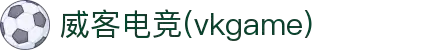 威客电竞 - 让每一份电竞才华都更有价值